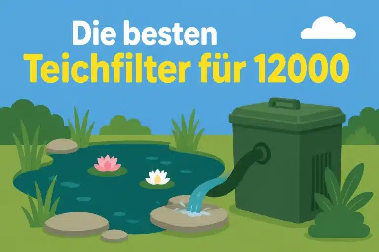 Die besten Teichfilter für 12000 - Illustration